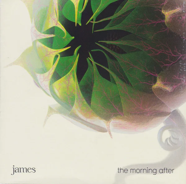 The Morning After