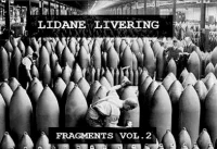 Fragments Vol​.​2