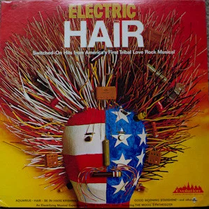 Electric Hair - Switched-On Hits From America's First Tribal Love Rock Musical