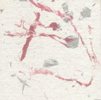 Motion Mimic
