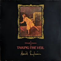 A Little Girl Dreams Of Taking The Veil