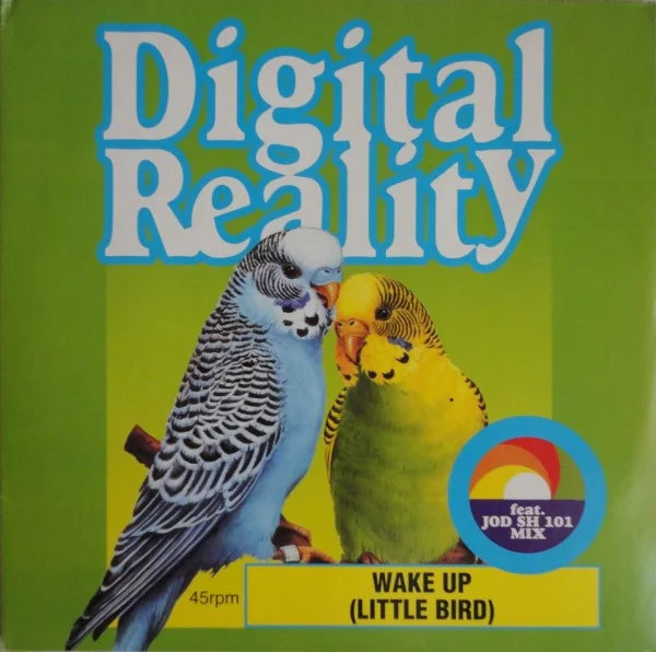 Wake Up (Little Bird)