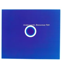 Beaucoup Fish