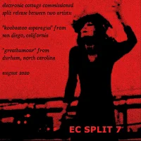 EC Split 7