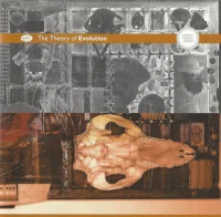 The Theory Of Evolution