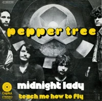 Midnight Lady