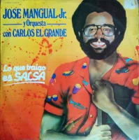 Lo Que Traigo Es Salsa