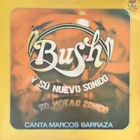Bush Y Su Nuevo Sonido