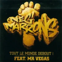 Tout Le Monde Debout !