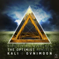 The Optimist Remixes