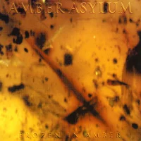 Frozen In Amber