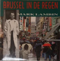 Brussel In De Regen