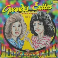 Grandes Éxitos De Las Hermanas Calle Vol. 4