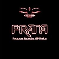 Prana Remix EP Vol. 2