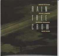 Rain Tree Crow