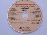 Been Up So Long It Looks Like Down To Me: The Micros Play The Blues