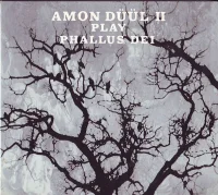Amon Düül II Play Phallus Dei