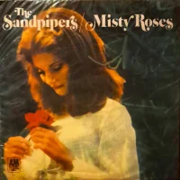 Misty Roses = Rosas Con Gotas De Rocio