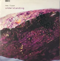 Understanding