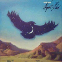 Night Bird