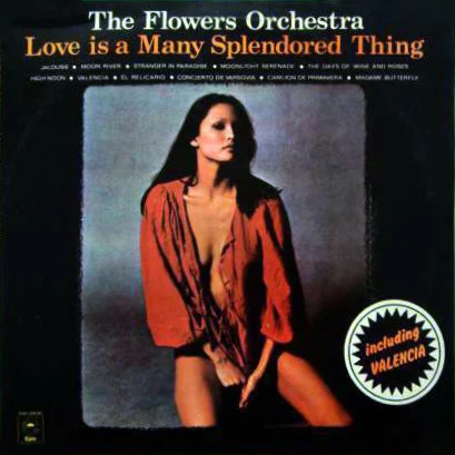 Love Is A Many Splendored Thing
