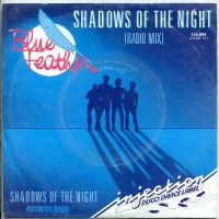 Shadows Of The Night (Radio Mix)