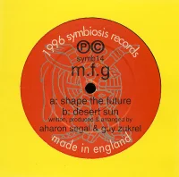 Shape The Future / Desert Sun