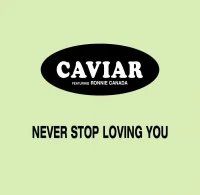 Never Stop Loving You