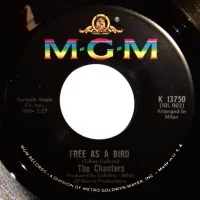 Free As A Bird