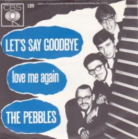 Let's Say Goodbye