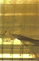 Tiamat/Taniwha