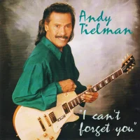 I Can't Forget You