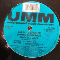 Pump The Voice