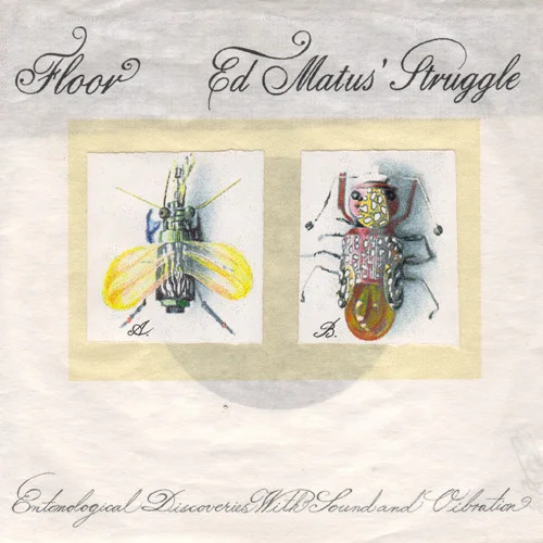 Entomological Discoveries With Sound And Vibration