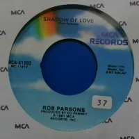 Shadow Of Love