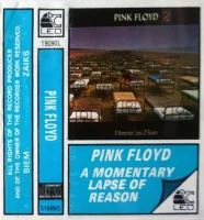 A Momentary Lapse Of Reason