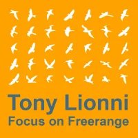 Focus On Freerange