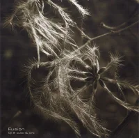 Roots (Night Version)