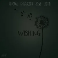 Wishing