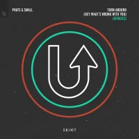 Turn Around (Hey What's Wrong With You) (Remixes)