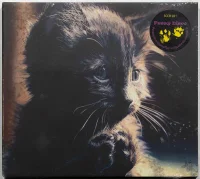 Pussy Disco