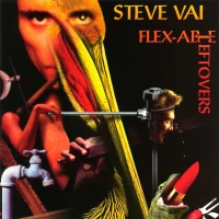Flex-Able Leftovers