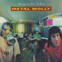 Surgery For Zebra