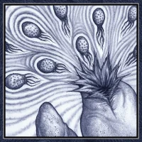 2020 Monthly Digital Single: Vesicular Distributor [July]