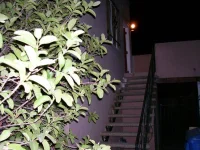 Only [Harmony Series #17]