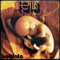 Fetus