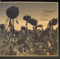 Amplified Piano Duets