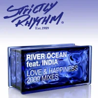 Love & Happiness: 2009 Mixes