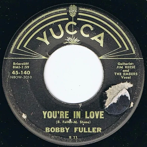You're In Love / Guess We'll Fall In Love