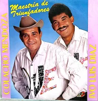 Maestría De Triunfadores